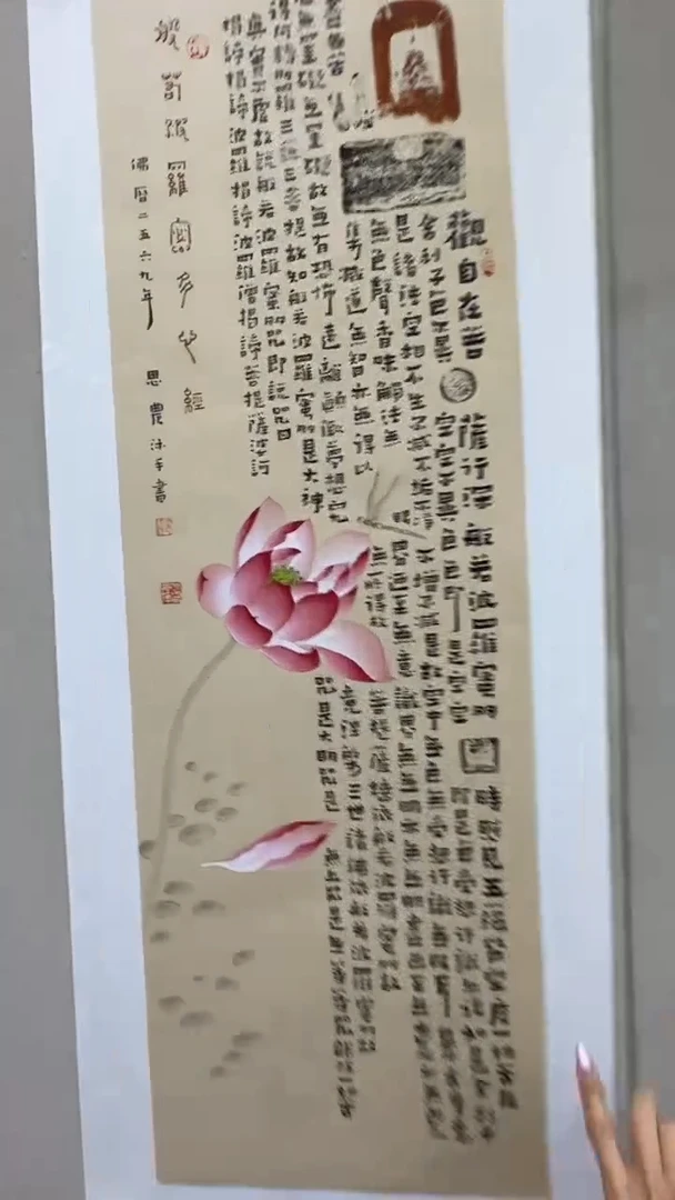 书法阿*思农老师精品手写作品观自在 心某经全篇