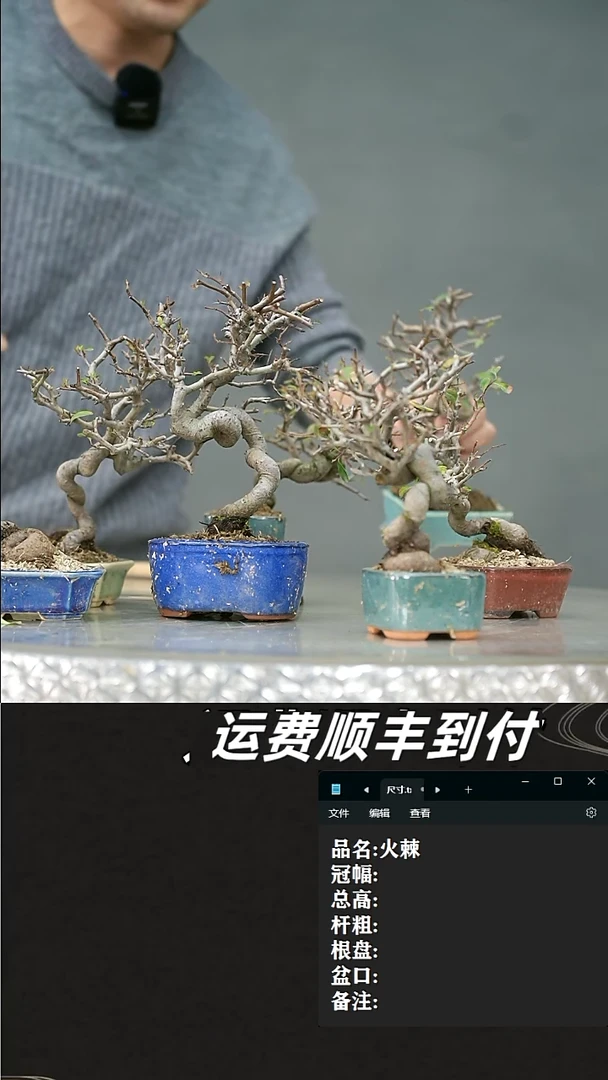 【闪购商品】33  火棘