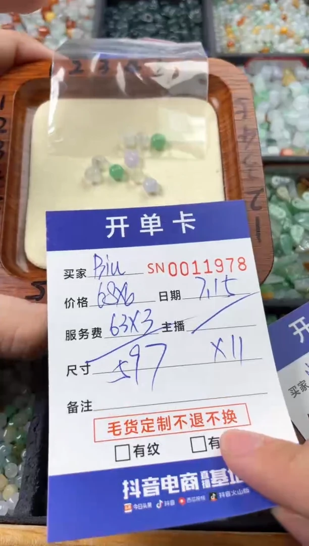 翡翠未镶嵌颈饰B****嘟00011978