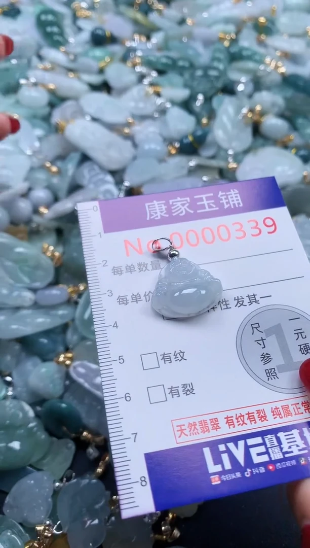 颈饰未镶嵌翡翠339