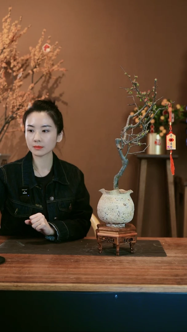 【闪购商品】盆景海棠花