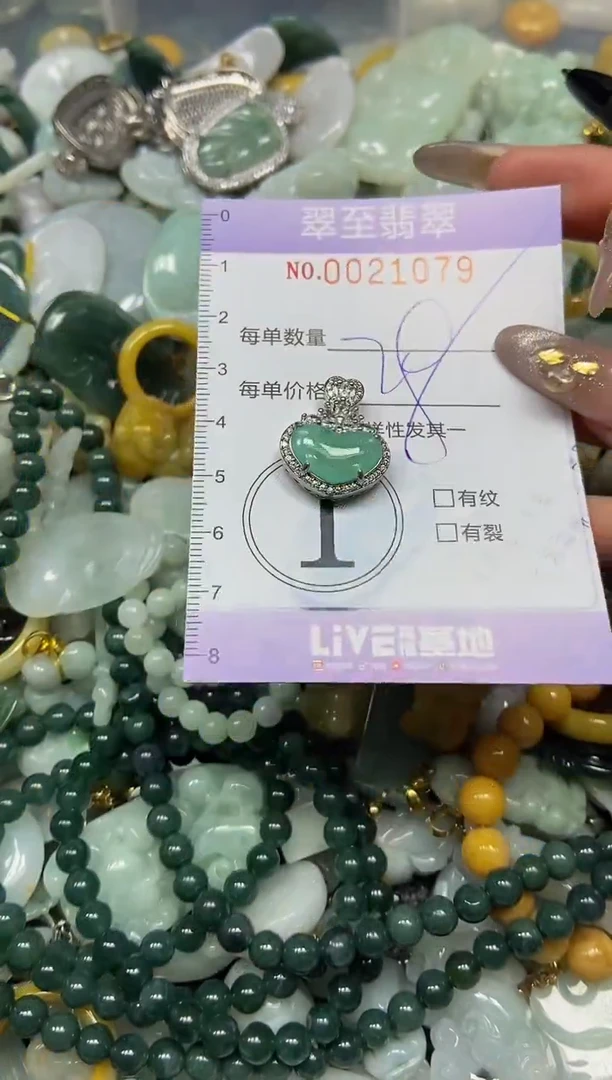 【闪购商品】翡翠颈饰未镶嵌闪购0021079