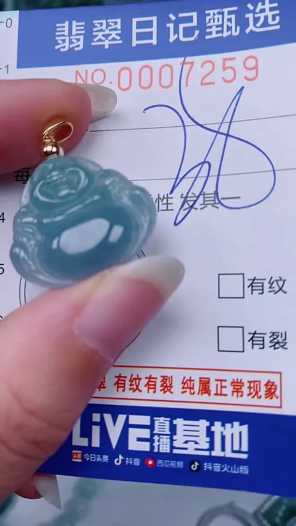 翡翠未镶嵌颈饰00007259