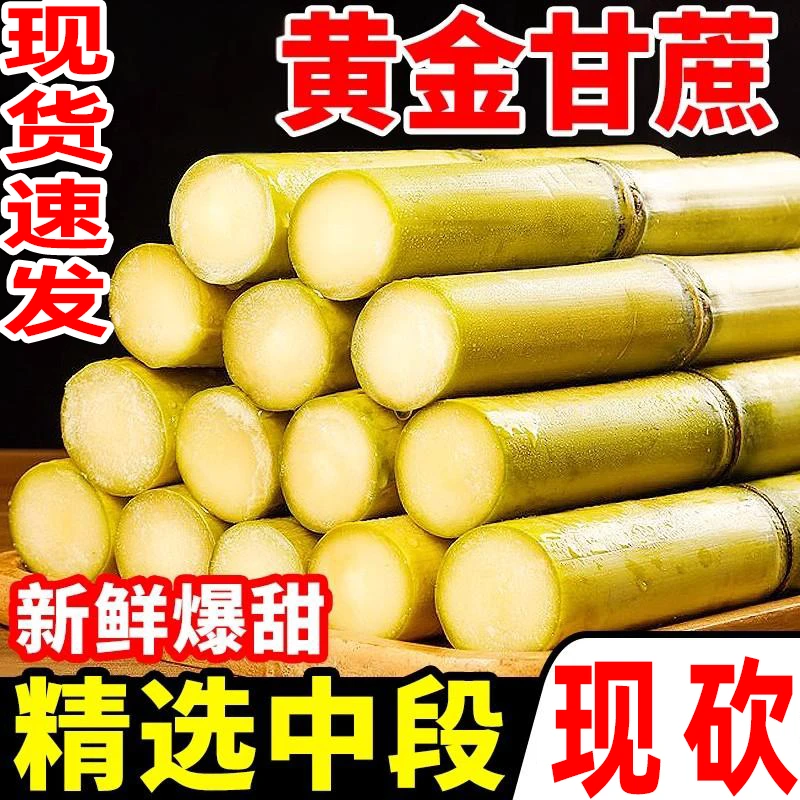 云南手撕黄金甘蔗中段正宗水果青皮甘蔗脆甜农家自种新鲜水果包邮