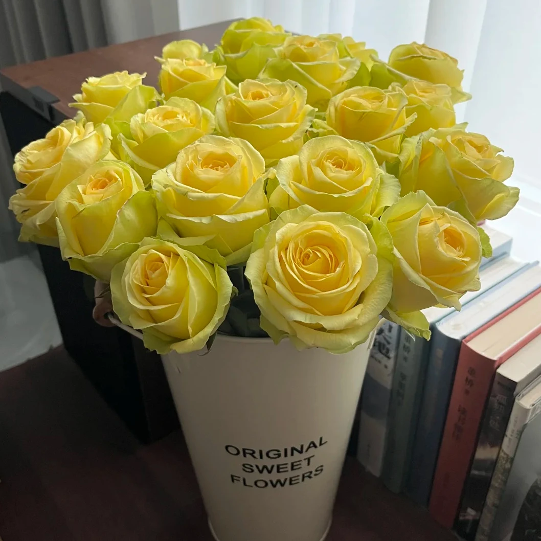 （新品推荐）浪漫沙滩玫瑰10支【全店任意满2件发顺丰京东】鲜花直发