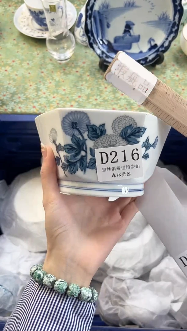 【闪购商品】瓷片          D216
