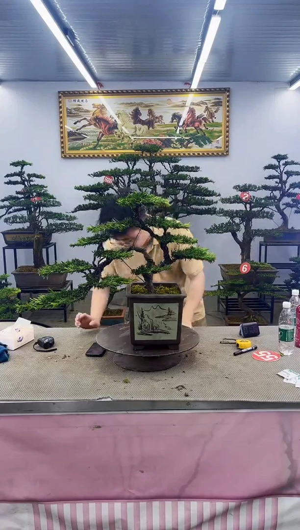 一物一拍，所见即所得