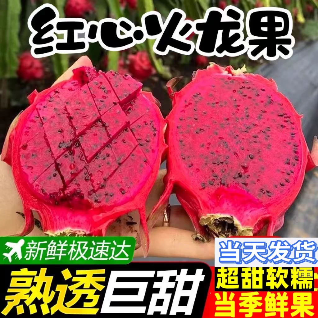 【顺丰包邮】（门店果）金都1号红心密保火龙果整箱5斤 净重4.5斤/5个海南省