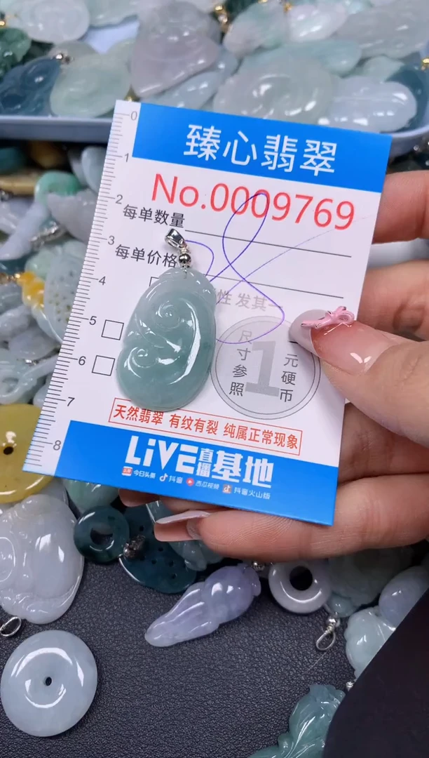 【闪购商品】翡翠颈饰未镶嵌含绳0009769