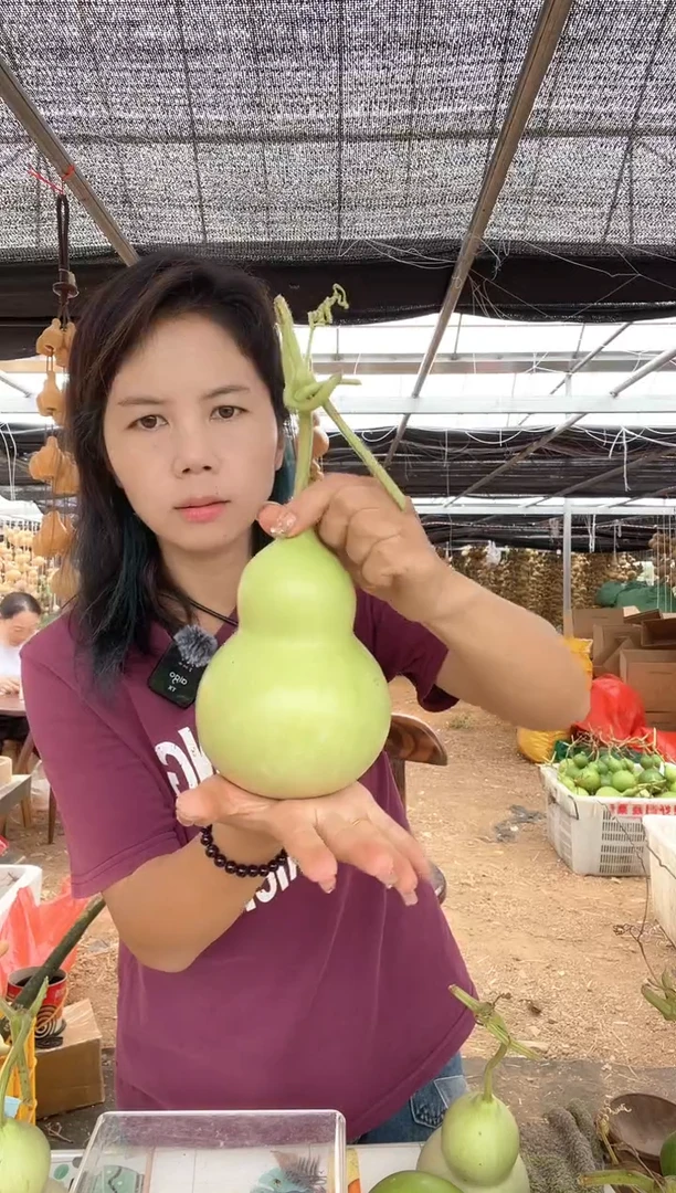 807天然葫芦摆件 一物一拍龙头不保售后微瑕疵