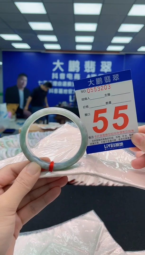 未镶嵌手镯翡翠AAAAAAAAA