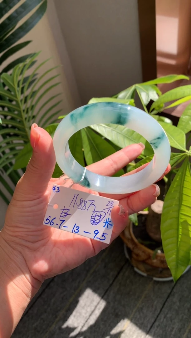 未镶嵌手镯翡翠假一赔三   手镯