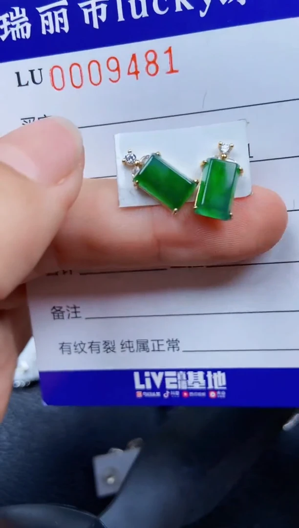 【闪购商品】翡翠颈饰银S925镶嵌9481