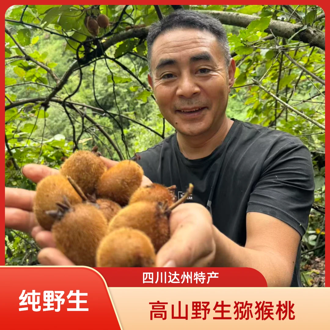 宣汉高山本地野生猕猴桃毛梨绿心新鲜采摘香甜当季水果