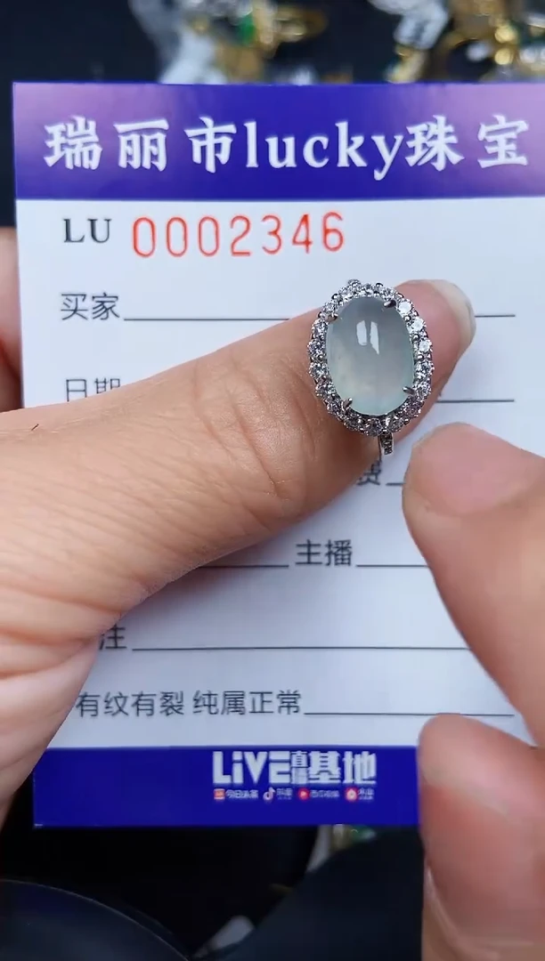 翡翠银S925镶嵌颈饰2346