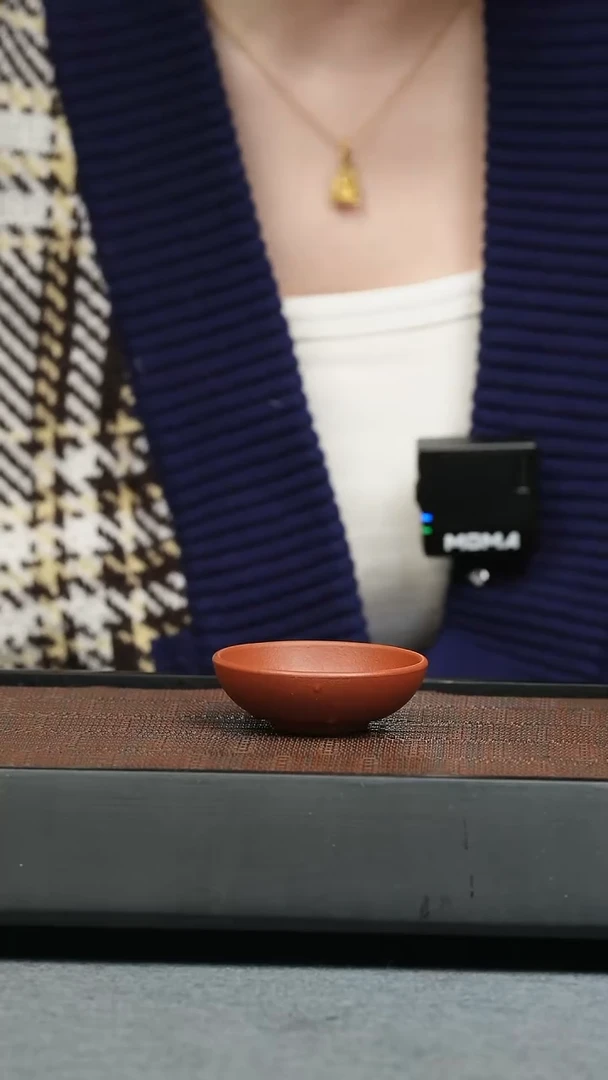 【闪购商品】紫砂茶壶五堂 五堂投茶器