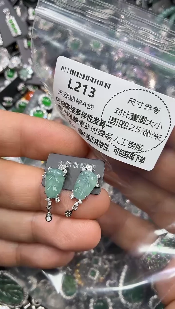 颈饰未镶嵌翡翠L213耳钉