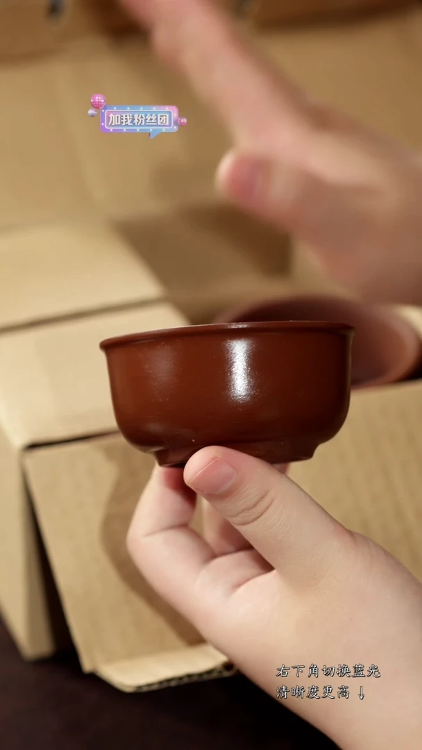 茶杯紫砂福利紫砂12套组