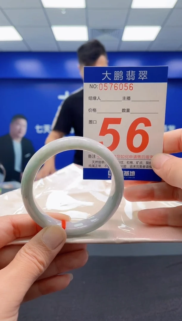 未镶嵌手镯翡翠AAAAAAAAA1