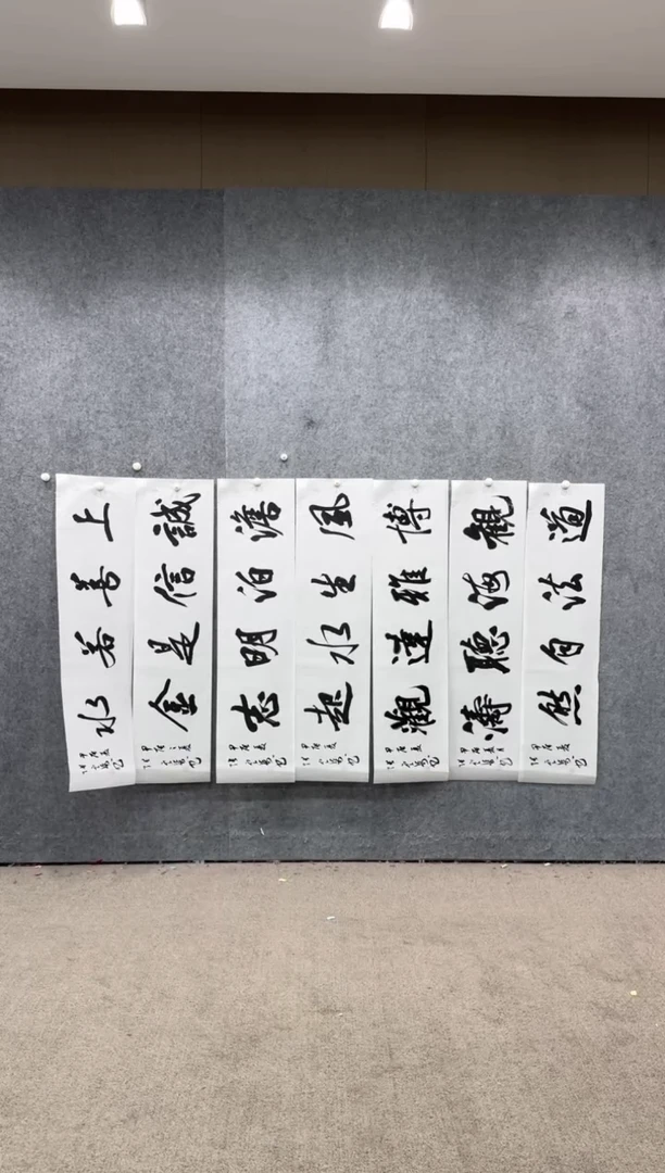 【闪购商品】书法pmw不二轩旗舰店书法ZDQ21