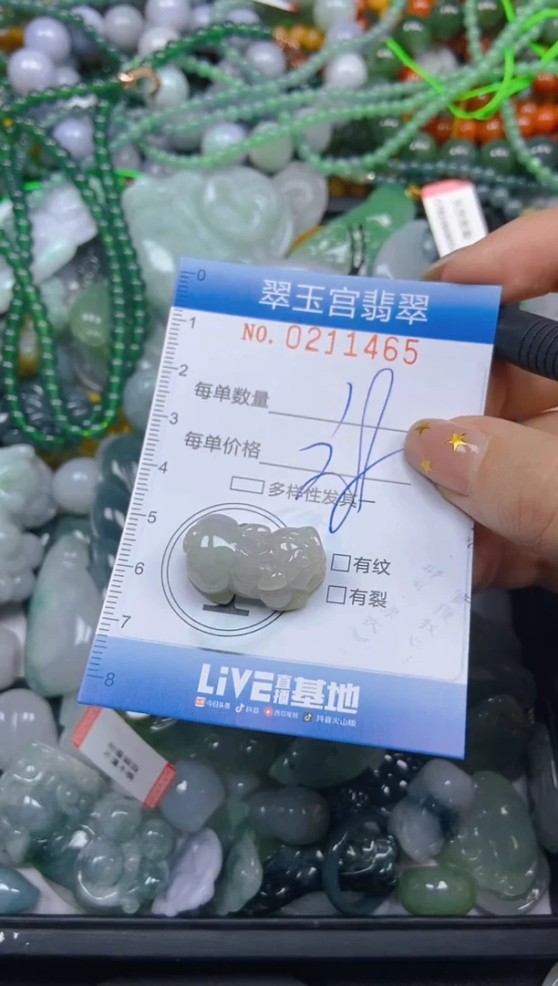 颈饰未镶嵌翡翠闪购C0211465