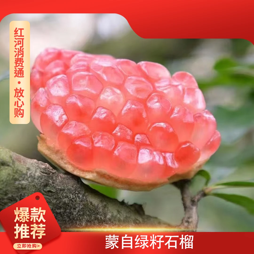 蒙自绿籽石榴/云南石榴/云南特产石榴/云南特产
