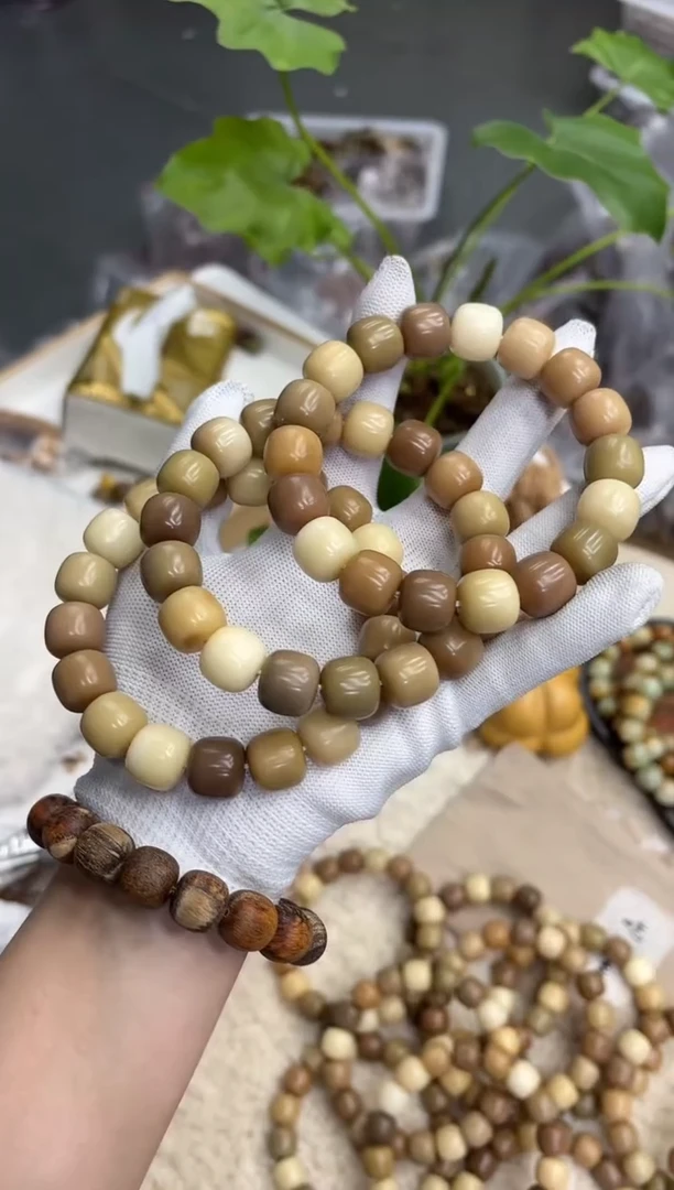 菩提根/象牙果手串14糖壳（413）