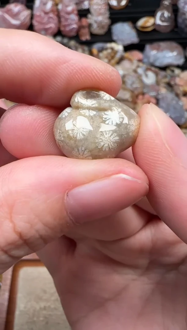 颈饰未镶嵌硅化珊瑚（珊瑚玉）563