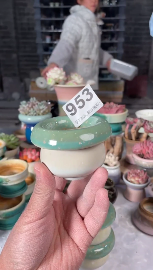 瓷片953小芳直播编号