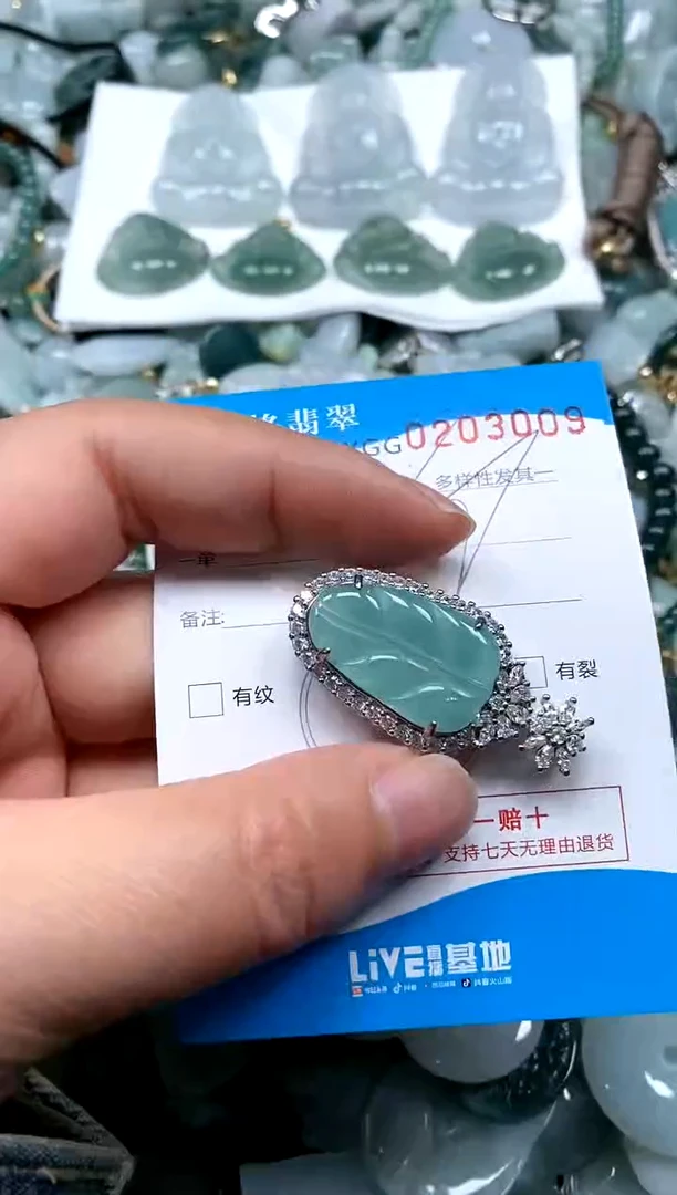 【闪购商品】翡翠颈饰未镶嵌闪购商品0203009