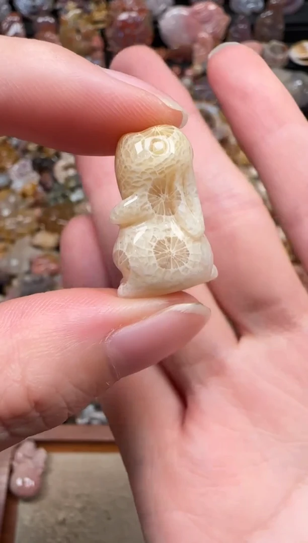 颈饰未镶嵌硅化珊瑚（珊瑚玉）148