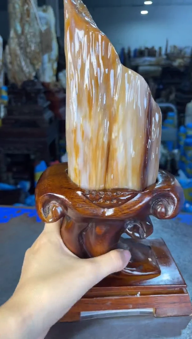 未镶嵌摆件硅化玉12