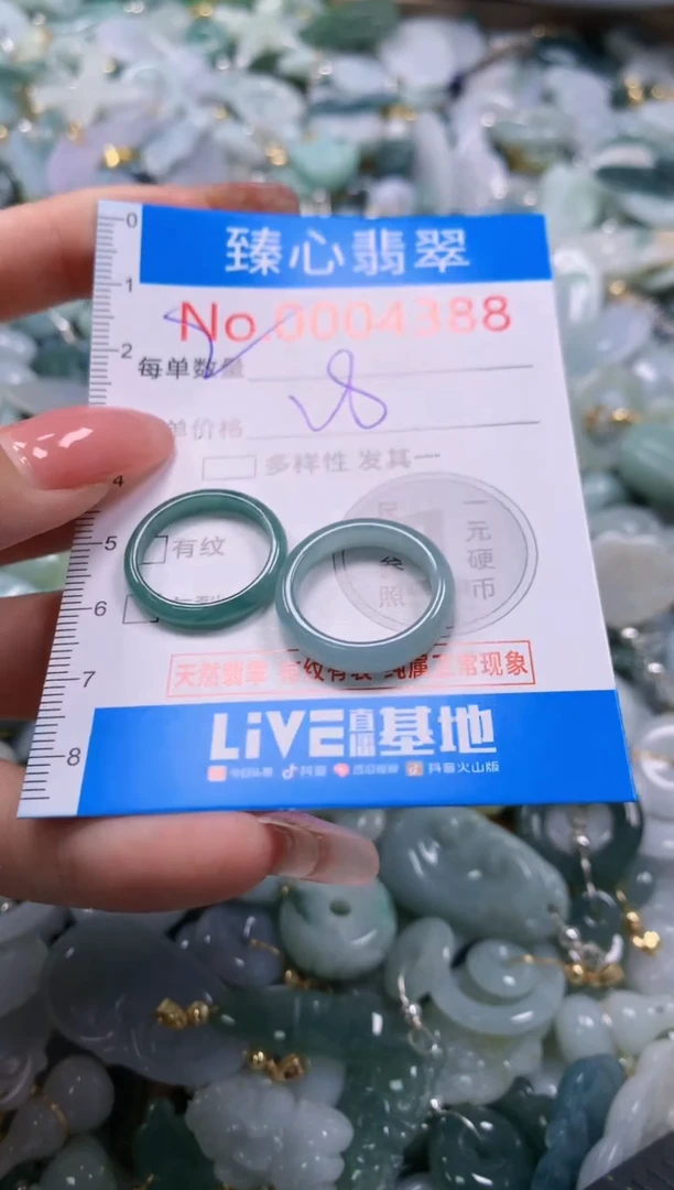 翡翠未镶嵌颈饰4388