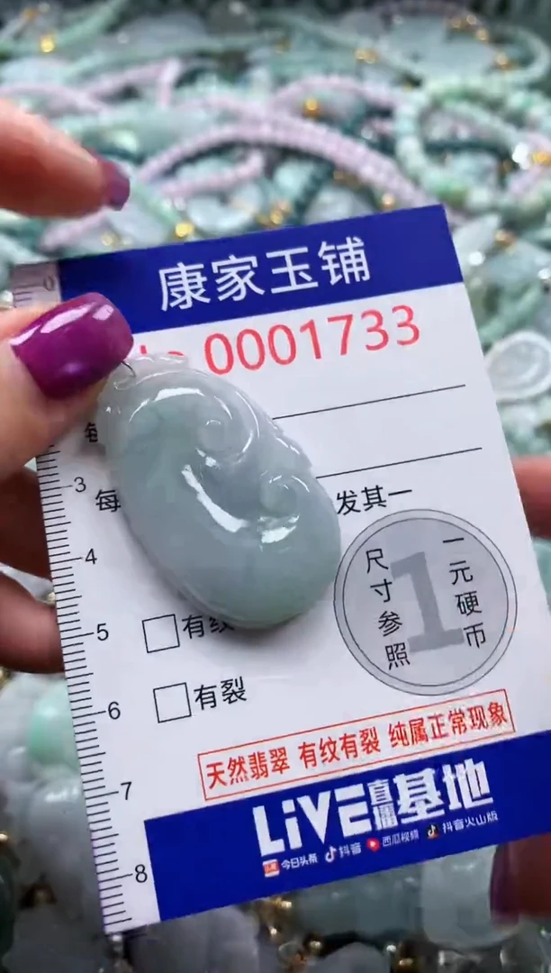 颈饰未镶嵌翡翠1733