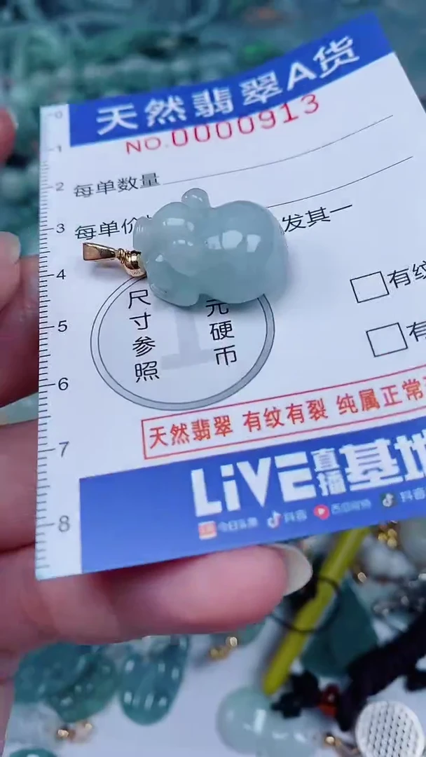 翡翠未镶嵌颈饰00000913
