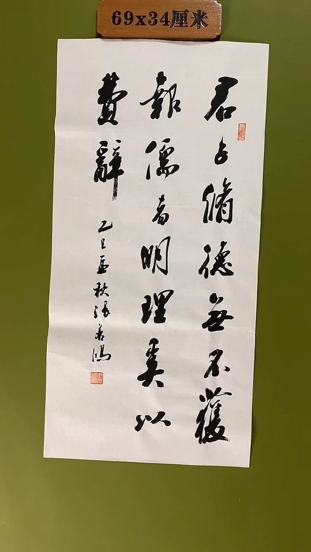 书法书法 张若鸿 尺寸69cm*34cm