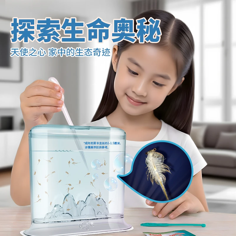 亚卡龙天使之心6-12岁儿童益智小玩具小宠物圣诞节礼物送给孩子