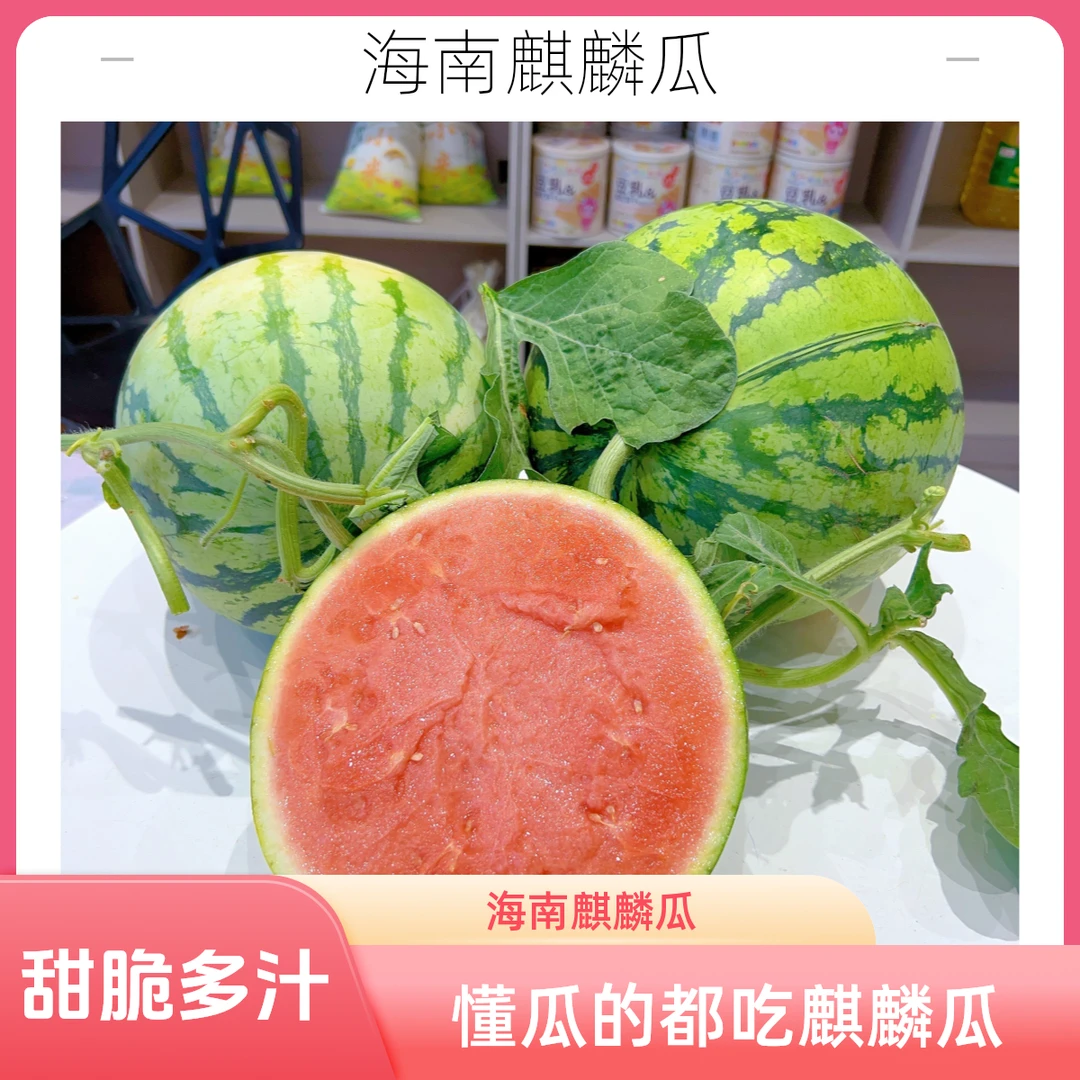 超好吃 海南麒麟瓜 嘎吱甜 懂的是真心吃麒麟（约10斤左右）抖音专享价 西瓜海南省