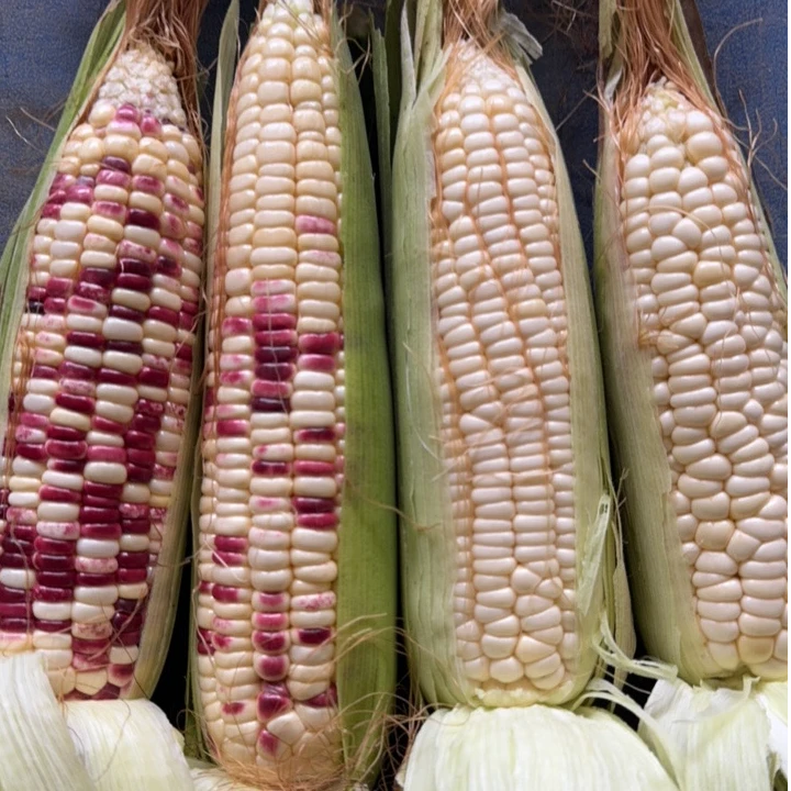 白糯与花糯拼装8斤组合装