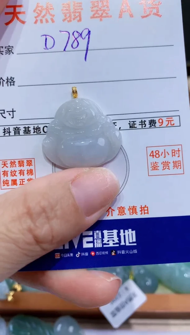 翡翠未镶嵌颈饰天然翡翠A货挂件