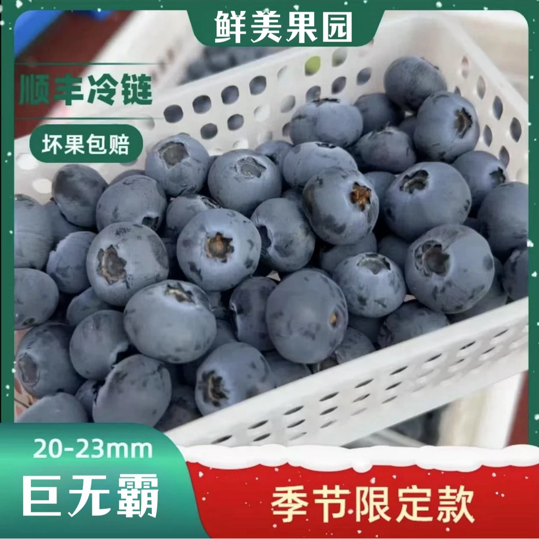 【头茬巨无霸】20-23mm蓝莓新鲜采摘 应季蓝莓鲜果 酸甜爆汁100g/盒