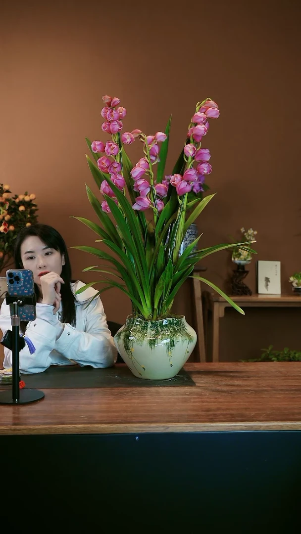 【闪购商品】盆景粉小吉