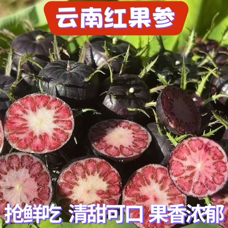 【迎春活动】云南蜘蛛果算盘果红果参冬季应季水果抢鲜吃H