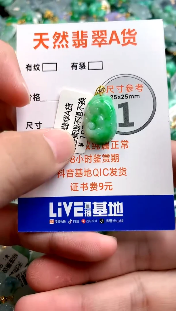 颈饰未镶嵌翡翠0768129441