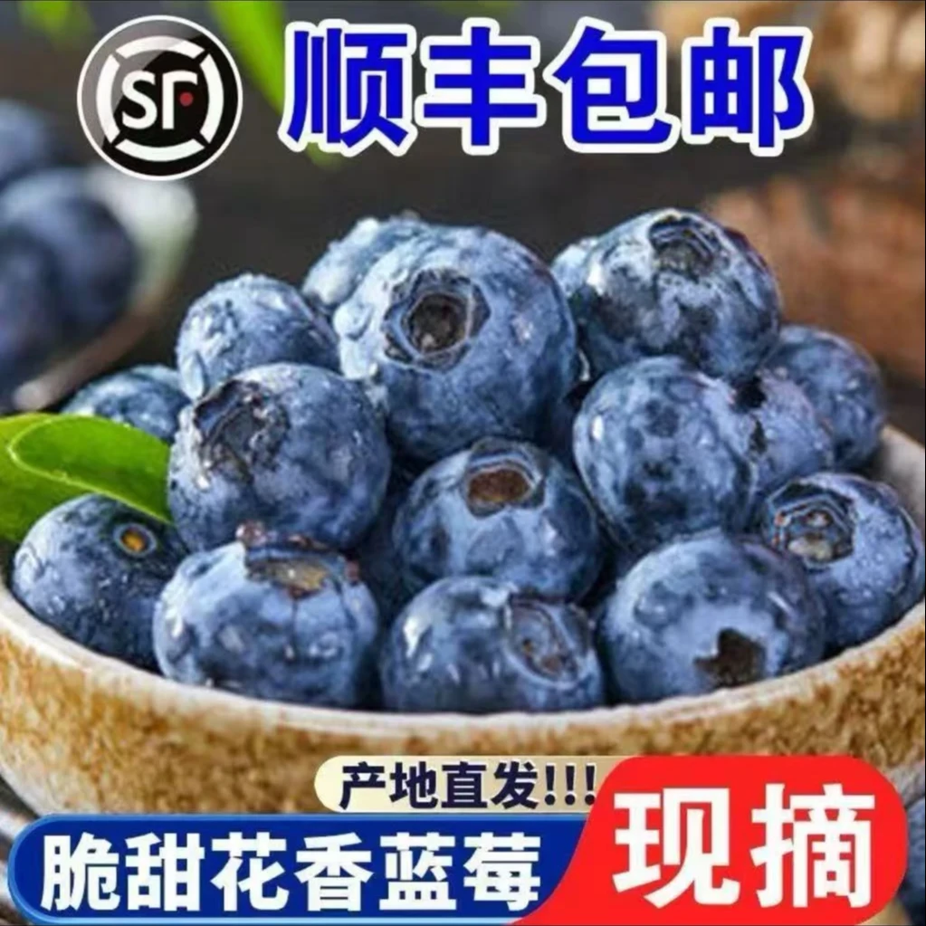 【顺丰包邮】新鲜花香蓝莓6盒装酸甜可口脆甜多汁应季水果100克/盒