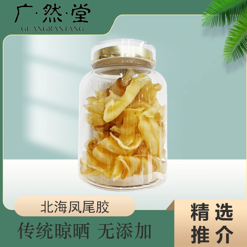 精选100头凤尾胶 红鳘鱼胶