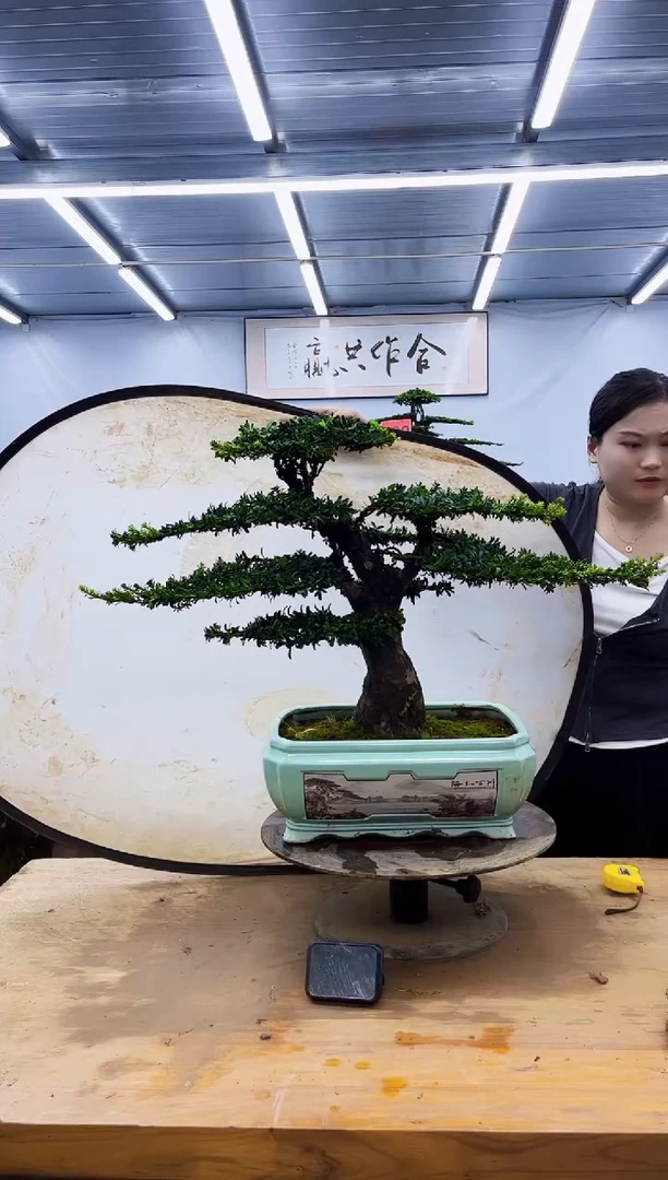 无花朵一物一拍，所见即所得