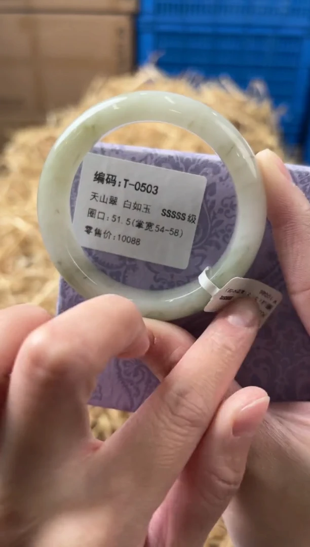 未镶嵌手镯石英质玉T-0503