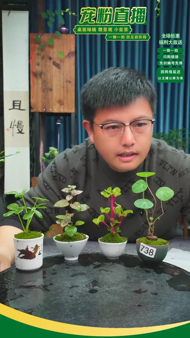 无花朵家****升苔藓微景观738号