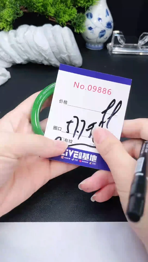 未镶嵌手镯翡翠9886